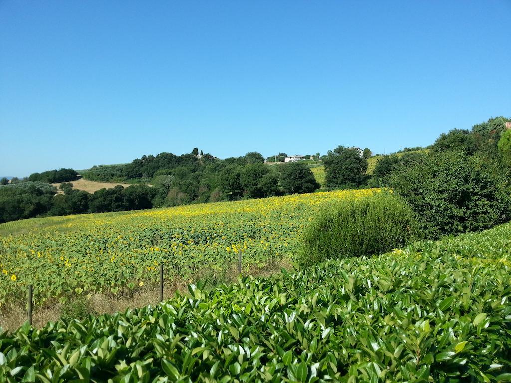 Il Borghetto Vila Todi Exterior foto